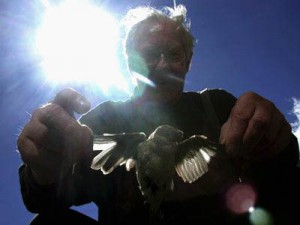 AlainBADIOU_bird
