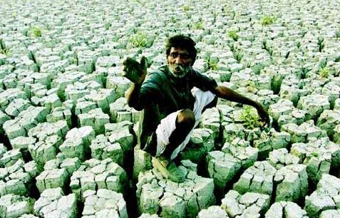 agriculture_in_ruins
