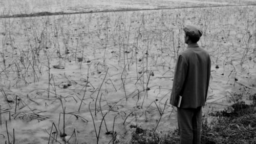 Wang Ningde