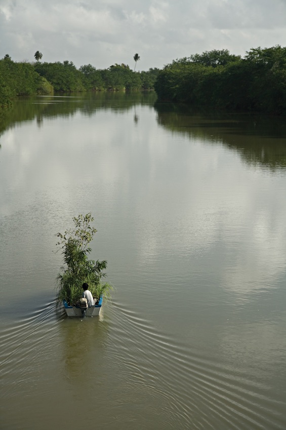 Myeongbeom Kim, Tree Boat, 2011.