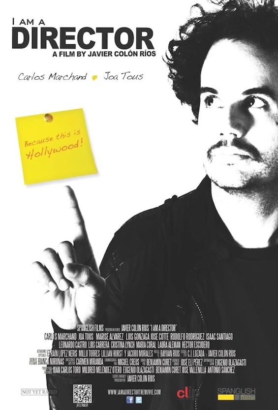 I am a Director