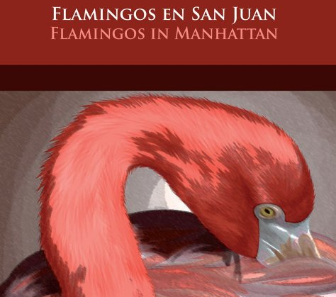 Los flamingos de María Arrillaga