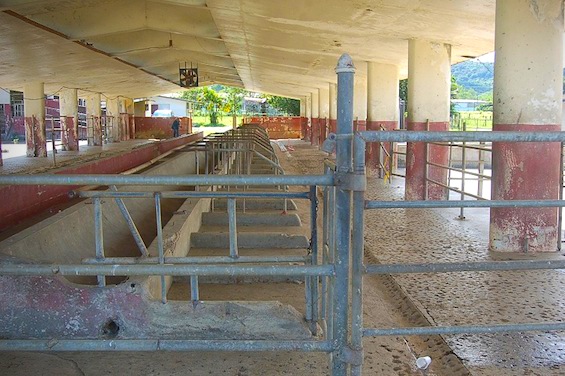Vaquería experimental de Gurabo Henry Klumb.