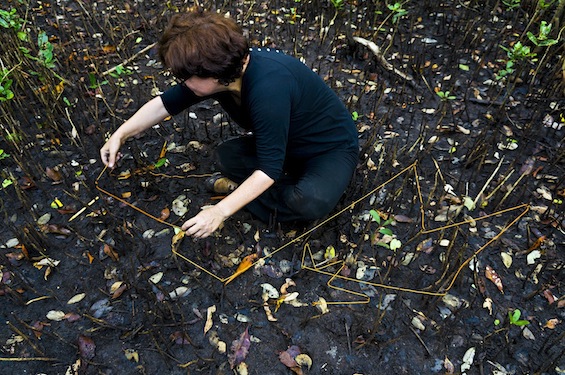 07