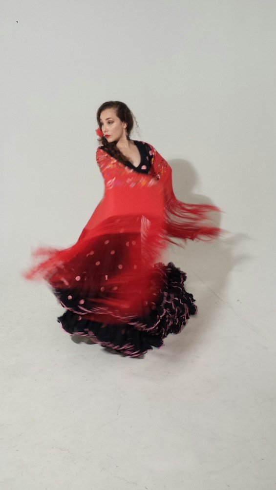 "Flamenco", nuevo curso en la UPR