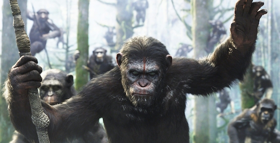 Dawn-of-the-Planet-of-the-Apes-Wallpaper