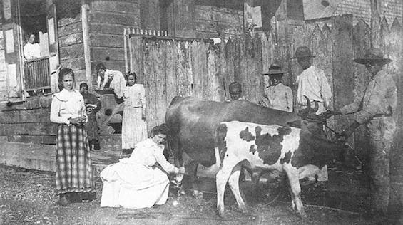 Imagen de Ponce, 1907