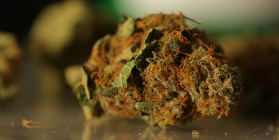 Pot Prices Double as Colorado Retailers Roll Out Green Carpet