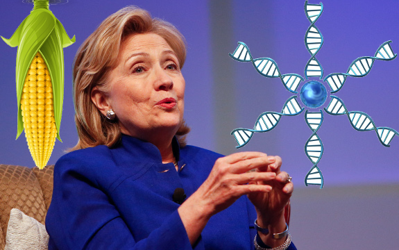 Hillary y Monsanto ante la coyuntura electoral