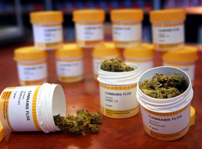 Salud y negocios: el papel del cooperativismo en la legalización del cannabis medicinal