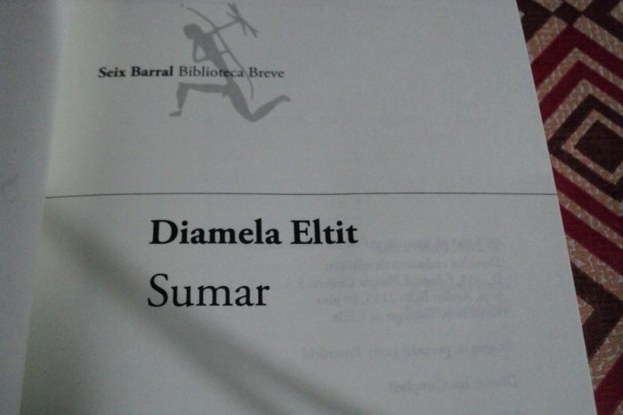 Sumar, de Diamela Eltit: notas a un diálogo