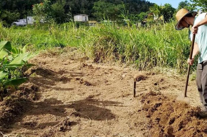 UPR Utuado cosecha primeros graduandos de Agricultura Sustentable