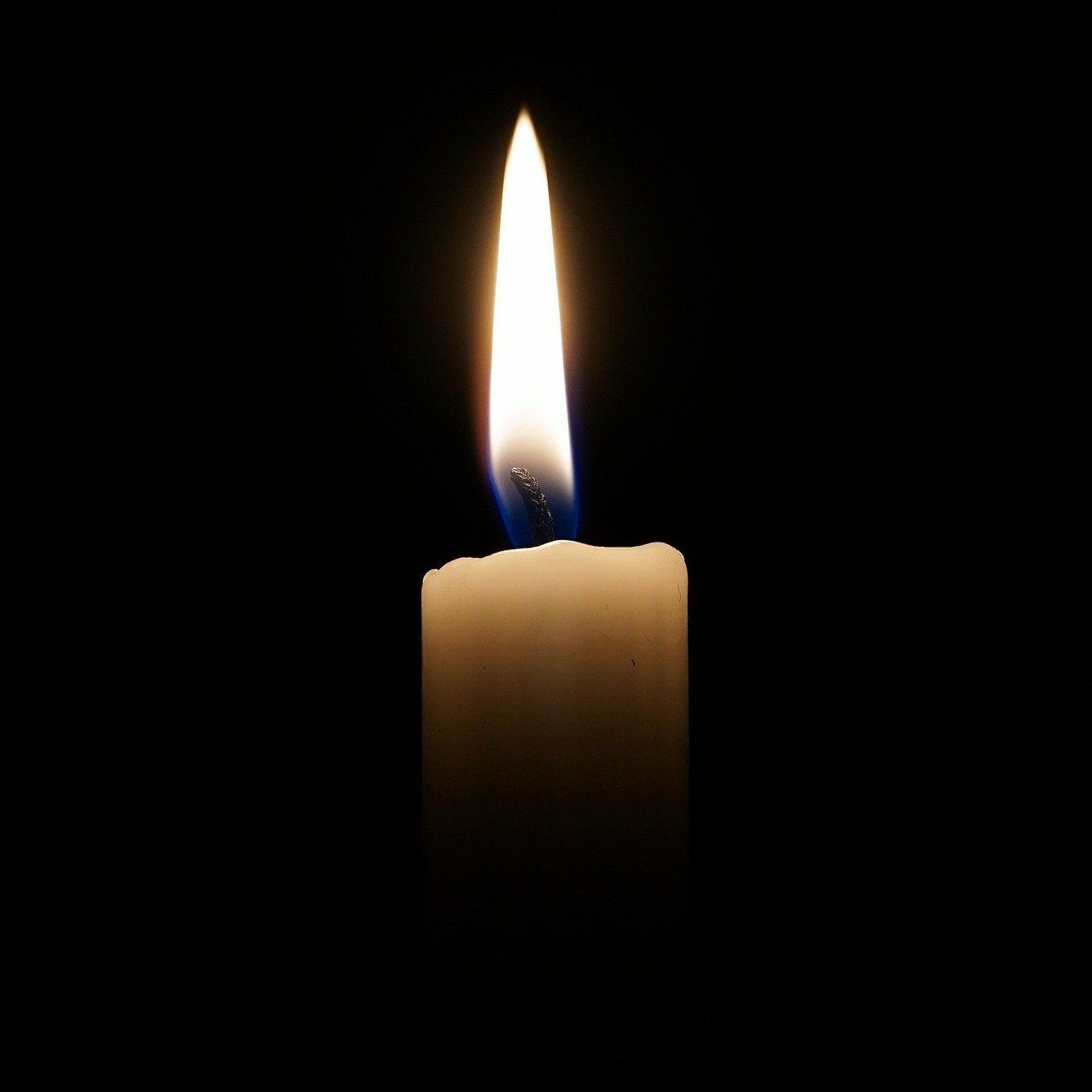 Vela