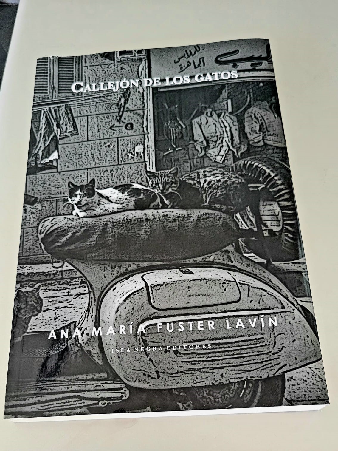 El libro El callejón de los gatos